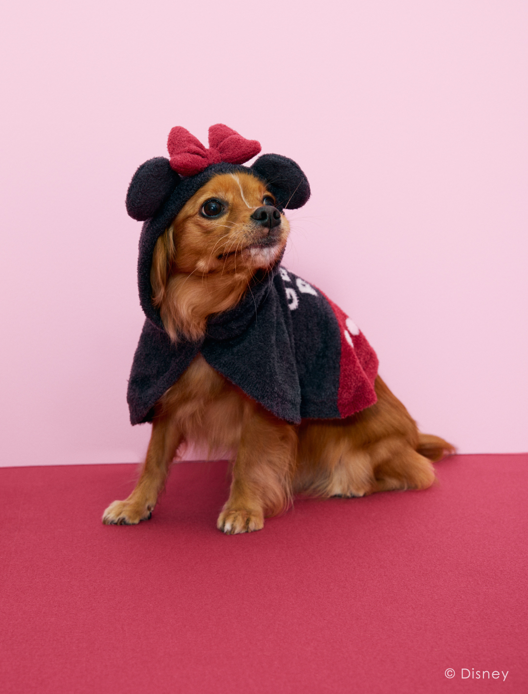 【CAT&DOG】【販路限定商品】Minnie/スムーズィーケープ1